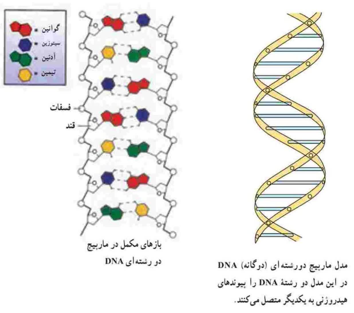 اخرت و علوم کامپیوتر ۵