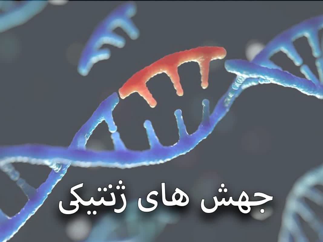 توضیح ۹۲:تولد حضرت عیسی ع