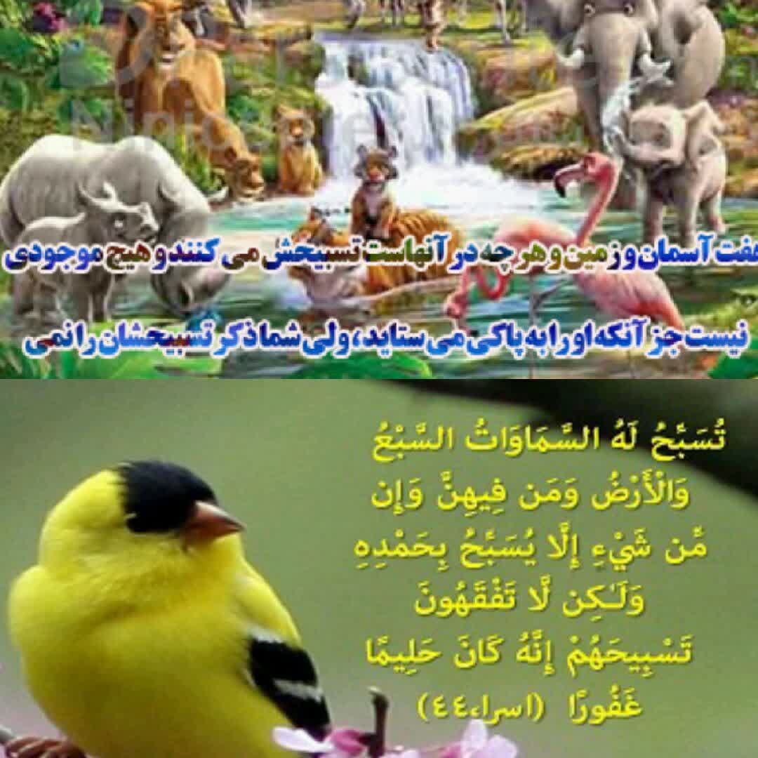 (قرآن،علم۱۶)
