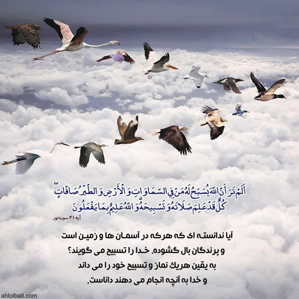 (قرآن،علم۱۷)