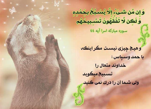 (قرآن،علم۱۸)